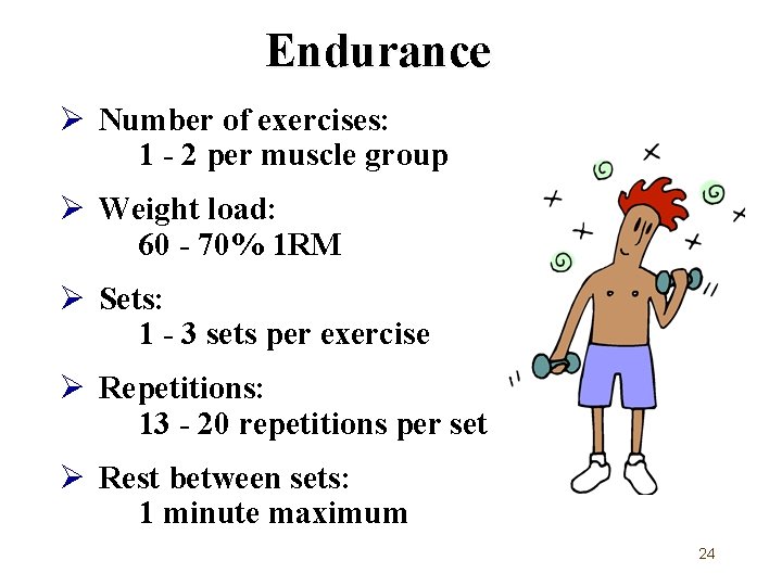 Endurance Ø Number of exercises: 1 - 2 per muscle group Ø Weight load: