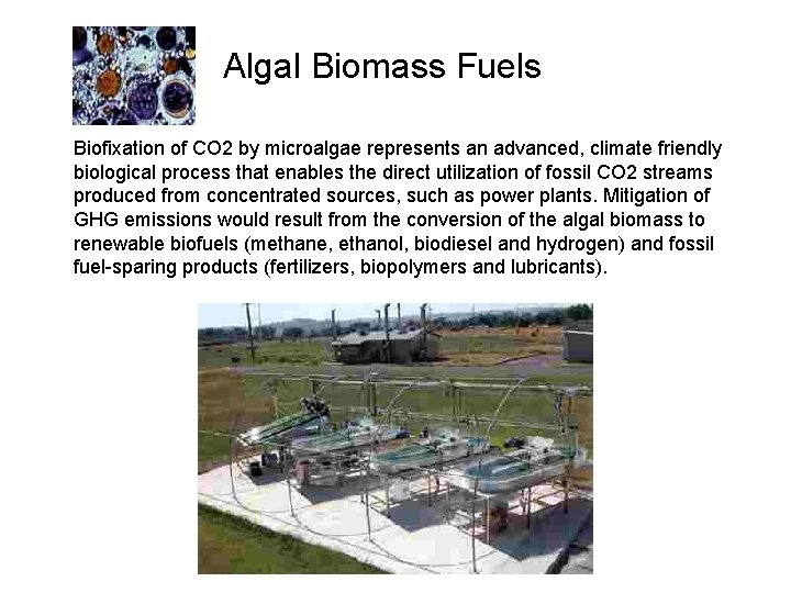 Algal Biomass Fuels Biofixation of CO 2 by microalgae represents an advanced, climate friendly