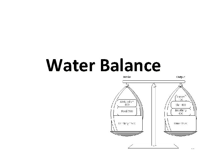 Water Balance 21 