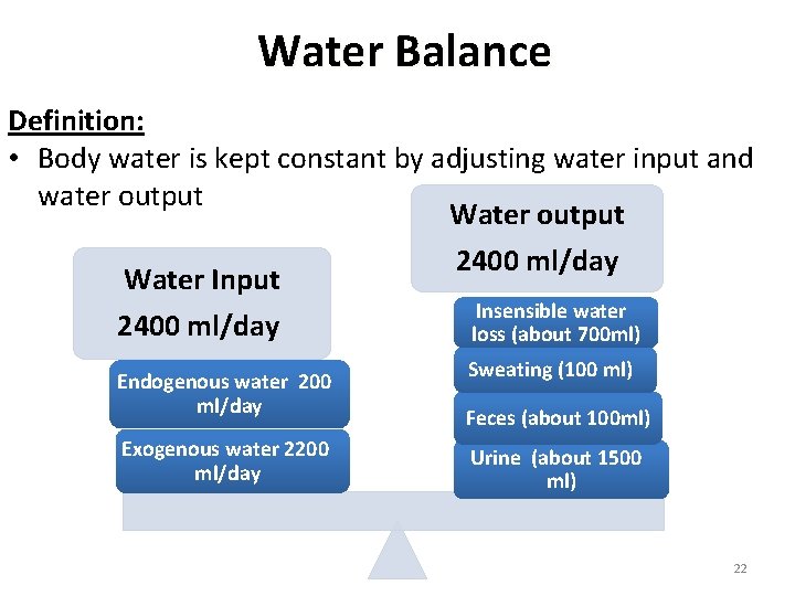 Water Balance Definition: • Body water is kept constant by adjusting water input and