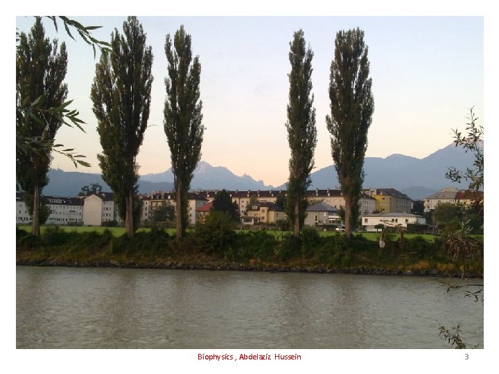Biophysics , Abdelaziz Hussein 3 