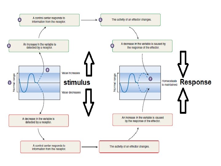30 