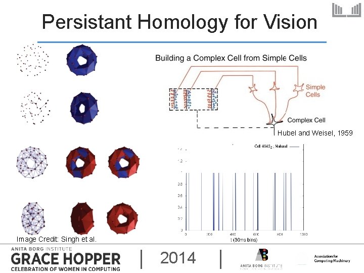 Persistant Homology for Vision Hubel and Weisel, 1959 Image Credit: Singh et al. 2014