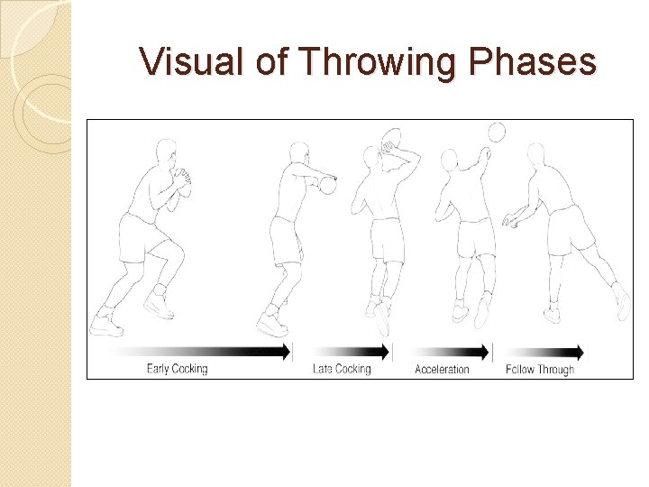Visual of Throwing Phases 