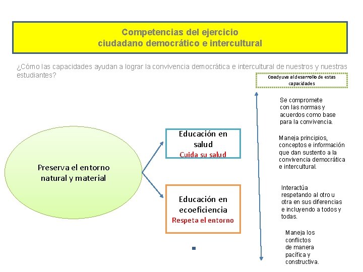 Competencias del ejercicio ciudadano democrático e intercultural ¿Cómo las capacidades ayudan a lograr la