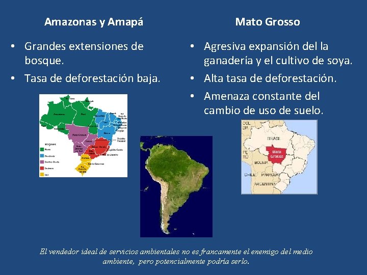 Amazonas y Amapá • Grandes extensiones de bosque. • Tasa de deforestación baja. Mato