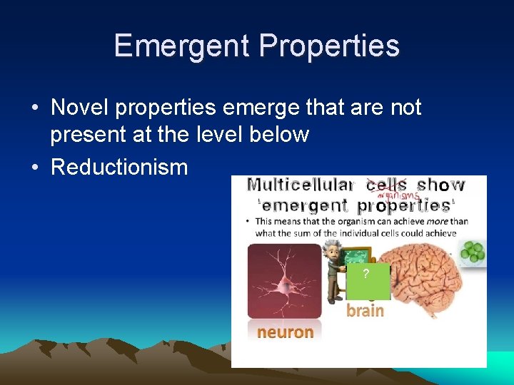 Emergent Properties • Novel properties emerge that are not present at the level below