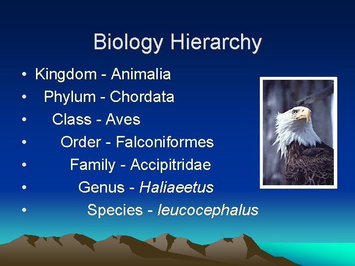 Biology Hierarchy • Kingdom - Animalia • Phylum - Chordata • Class - Aves