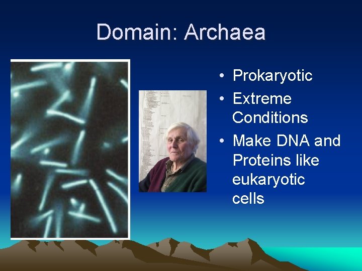 Domain: Archaea • Prokaryotic • Extreme Conditions • Make DNA and Proteins like eukaryotic