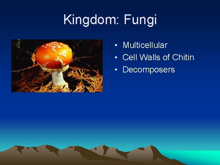 Kingdom: Fungi • Multicellular • Cell Walls of Chitin • Decomposers 