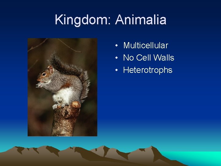 Kingdom: Animalia • Multicellular • No Cell Walls • Heterotrophs 