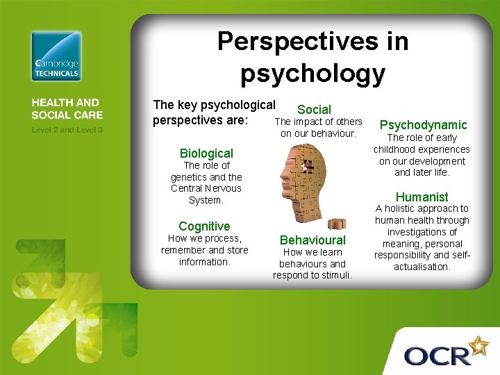 Perspectives in psychology The key psychological Social perspectives are: The impact of others on