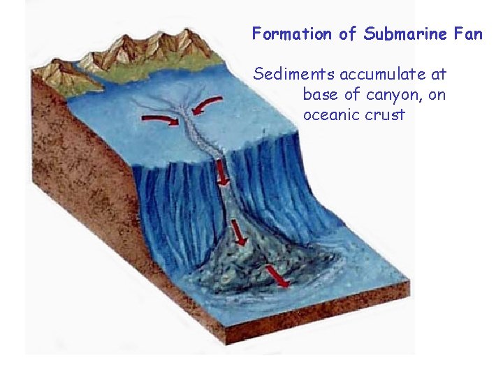 Formation of Submarine Fan Sediments accumulate at base of canyon, on oceanic crust 