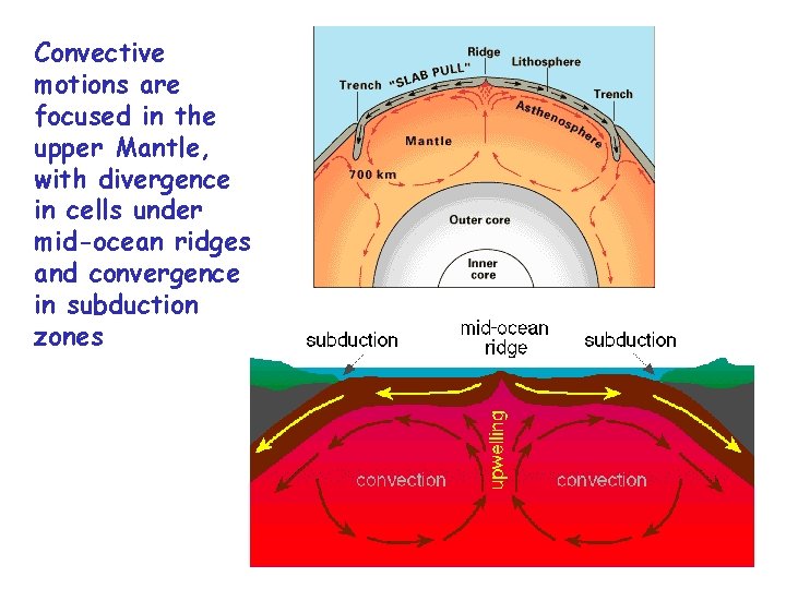 Convective motions are focused in the upper Mantle, with divergence in cells under mid-ocean