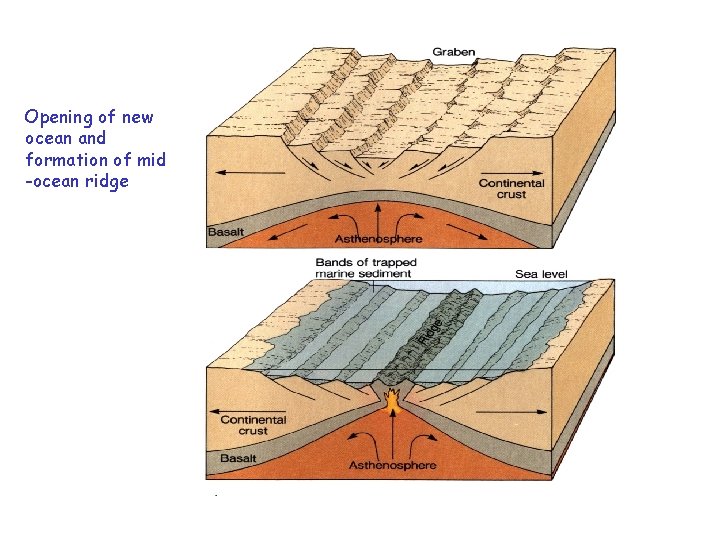 Opening of new ocean and formation of mid -ocean ridge 