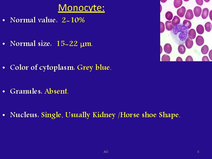 Monocyte: • Normal value: 2 -10% • Normal size: 15 -22 μm. • Color