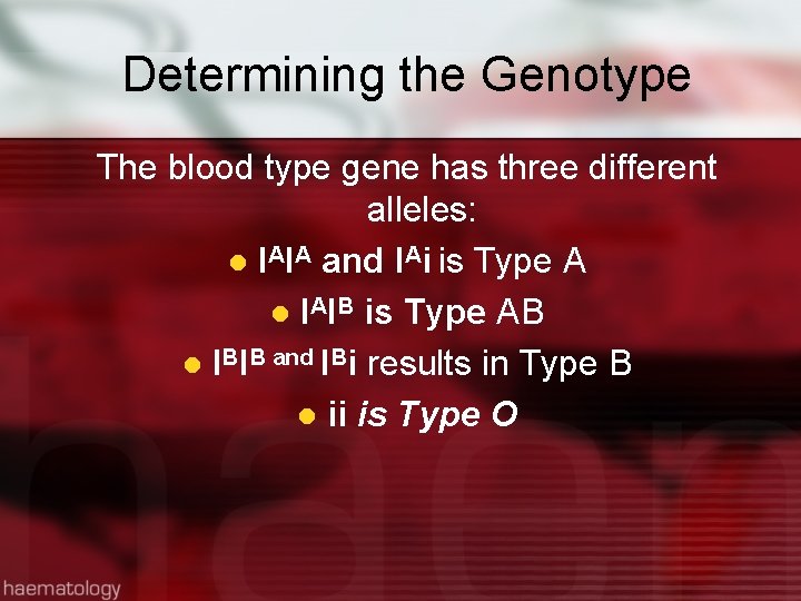 Determining the Genotype The blood type gene has three different alleles: l IAIA and