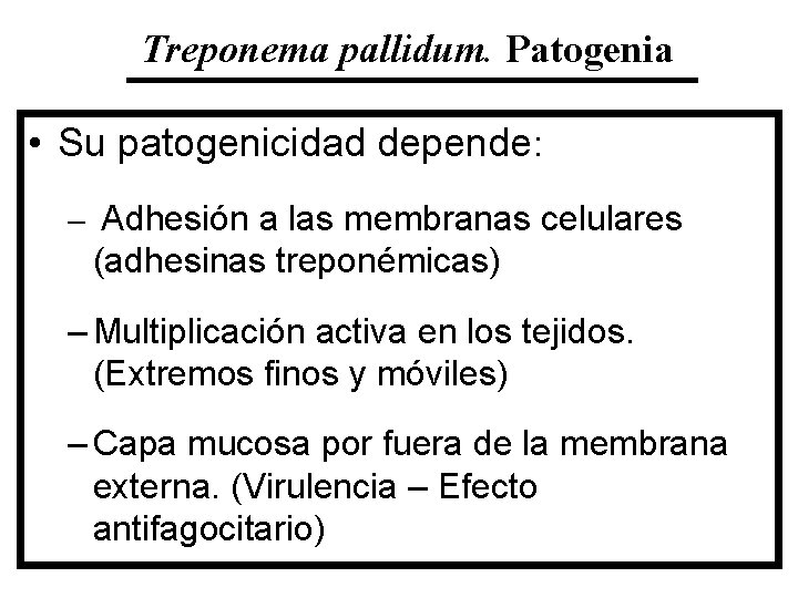 Treponema pallidum. Patogenia • Su patogenicidad depende: – Adhesión a las membranas celulares (adhesinas