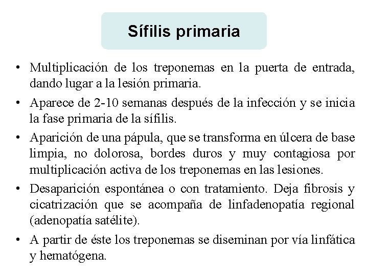 Sífilis primaria • Multiplicación de los treponemas en la puerta de entrada, dando lugar