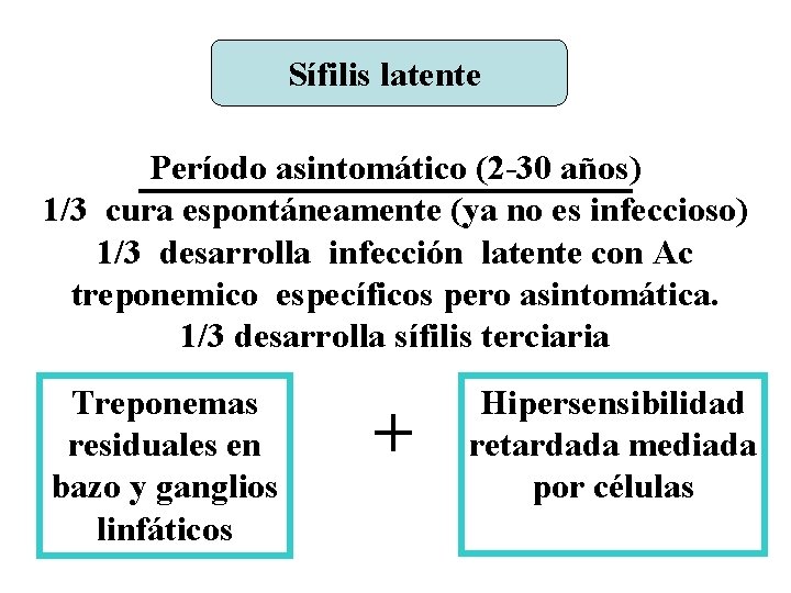 Sífilis latente Período asintomático (2 -30 años) 1/3 cura espontáneamente (ya no es infeccioso)