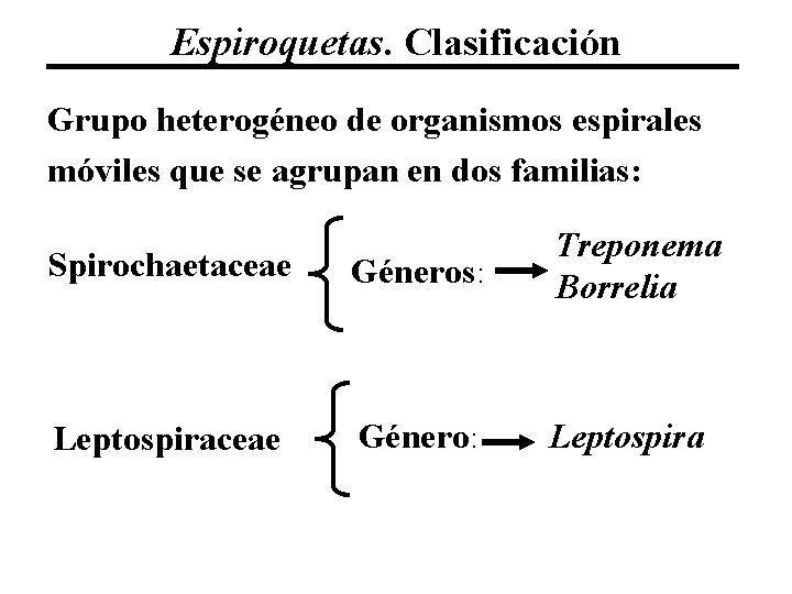 Espiroquetas. Clasificación Grupo heterogéneo de organismos espirales móviles que se agrupan en dos familias: