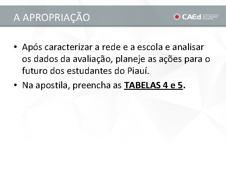 A APROPRIAÇÃO • Após caracterizar a rede e a escola e analisar os dados