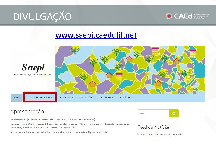 DIVULGAÇÃO www. saepi. caedufjf. net 