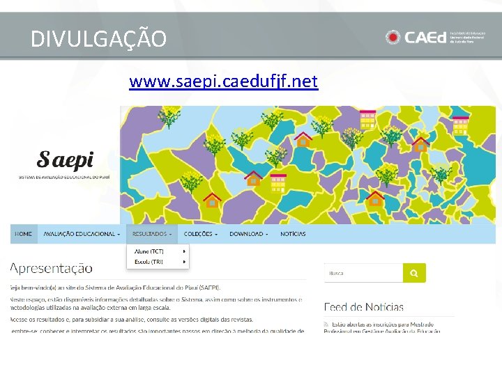 DIVULGAÇÃO www. saepi. caedufjf. net 