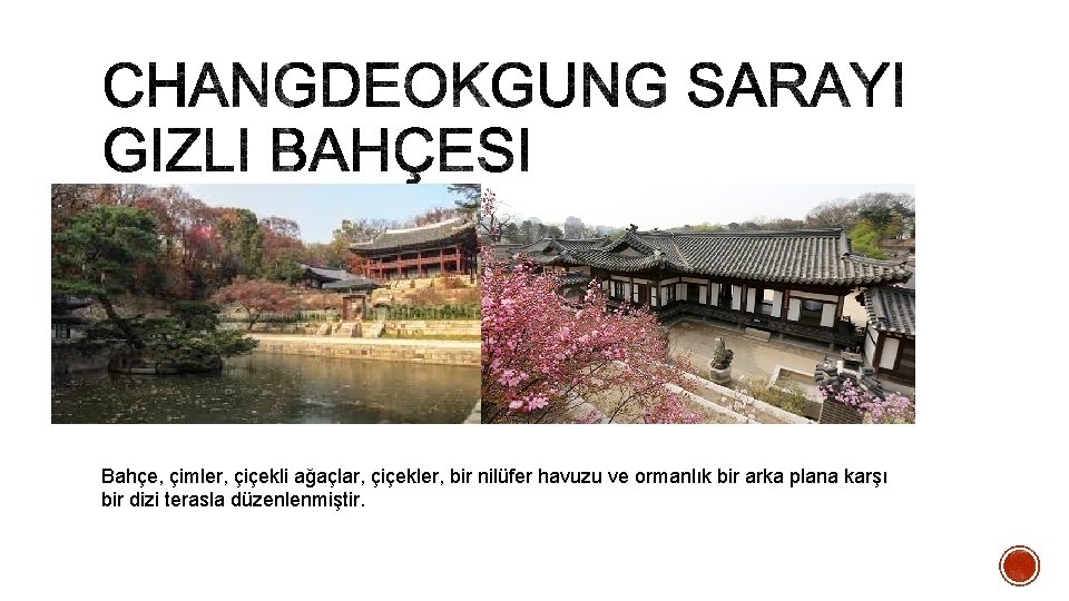 Bahçe, çimler, çiçekli ağaçlar, çiçekler, bir nilüfer havuzu ve ormanlık bir arka plana karşı
