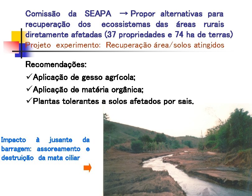 Comissão da SEAPA → Propor alternativas para recuperação dos ecossistemas das áreas rurais diretamente