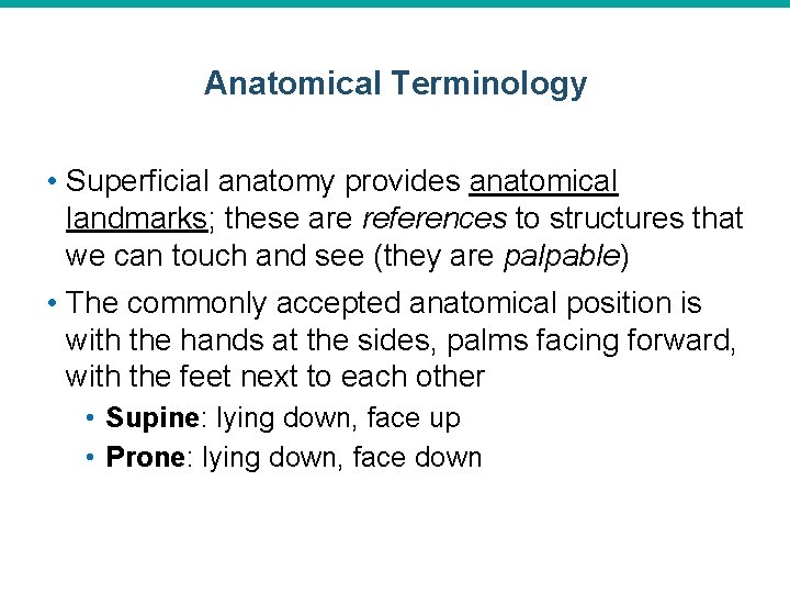 Anatomical Terminology • Superficial anatomy provides anatomical landmarks; these are references to structures that