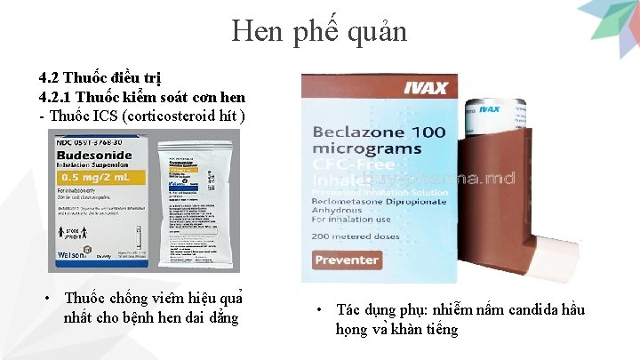 Hen phế quản 4. 2 Thuốc điều trị 4. 2. 1 Thuốc kiểm soát