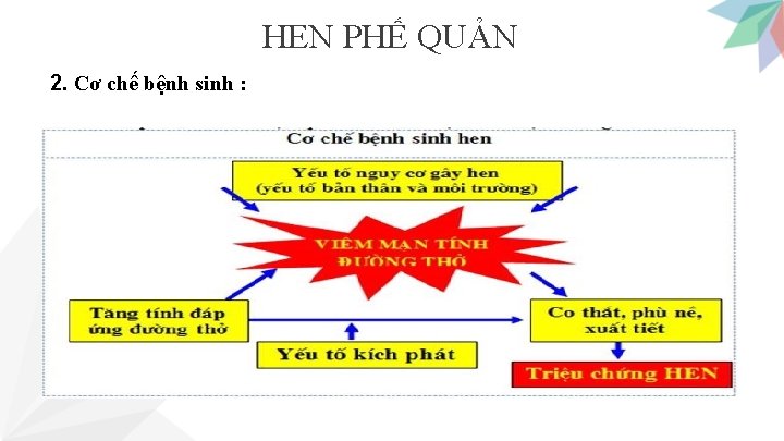 HEN PHẾ QUẢN 2. Cơ chế bệnh sinh : 