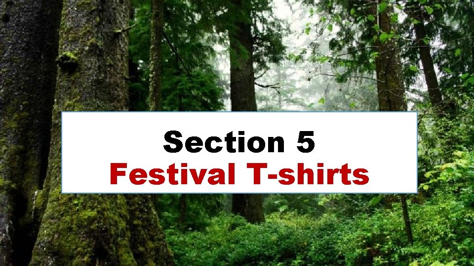 Section 5 Festival T-shirts Section 5 Festival T-shirts