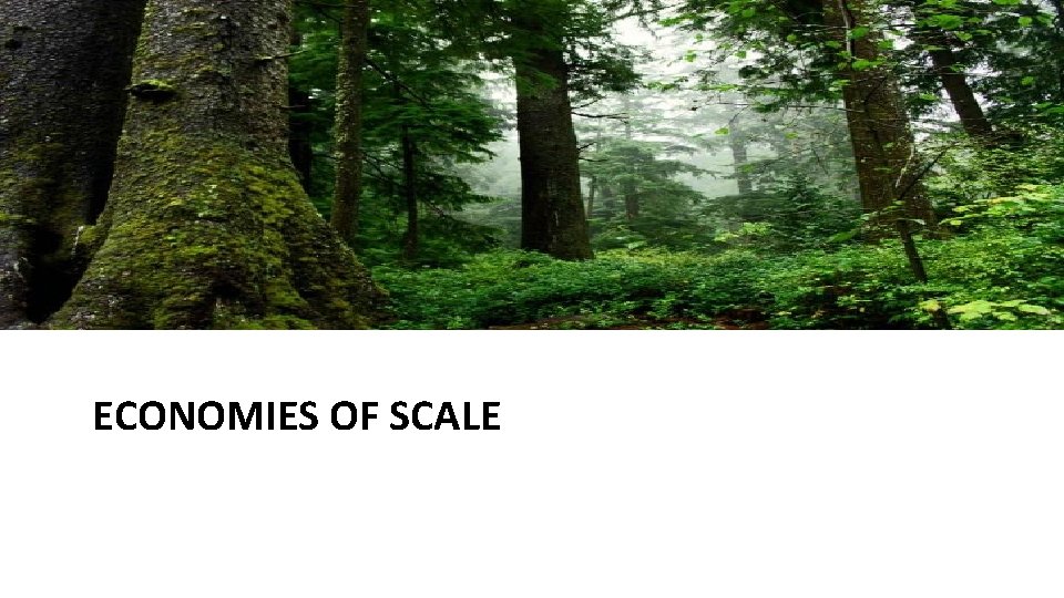 ECONOMIES OF SCALE ECONOMIES OF SCALE