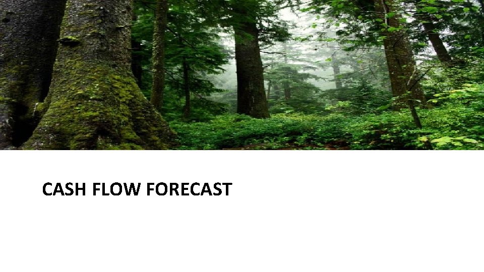 CASH FLOW FORECAST CASH FLOW FORECAST