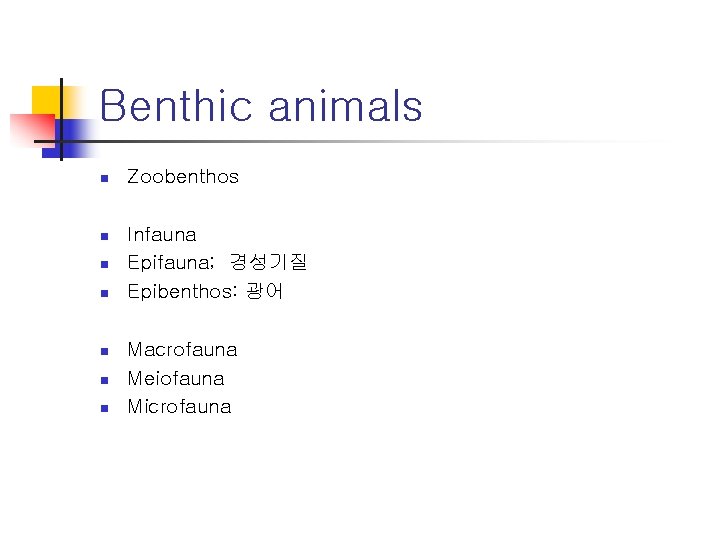 Benthic animals n Zoobenthos n Infauna Epifauna; 경성기질 Epibenthos: 광어 n n n Macrofauna