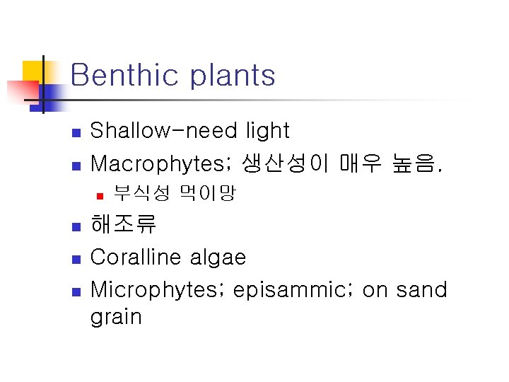 Benthic plants n n Shallow-need light Macrophytes; 생산성이 매우 높음. n n 부식성 먹이망