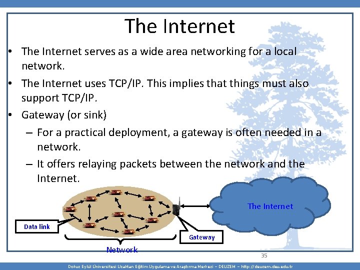 The Internet • The Internet serves as a wide area networking for a local