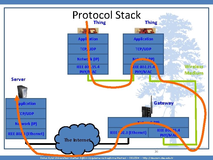 Protocol Stack Thing Application TCP/UDP Network (IP) IEEE 802. 15. 4 PHY/MAC Wireless Medium
