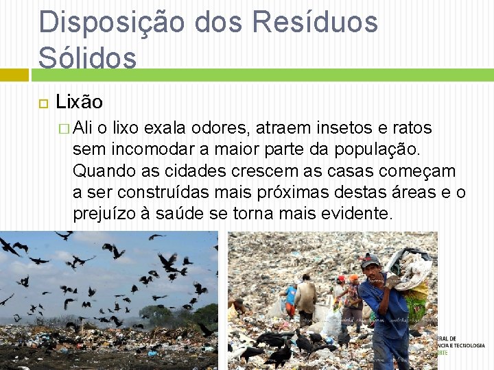 Disposição dos Resíduos Sólidos Lixão � Ali o lixo exala odores, atraem insetos e