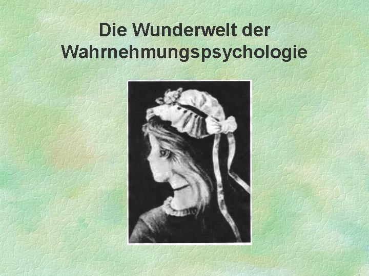 Die Wunderwelt der Wahrnehmungspsychologie 