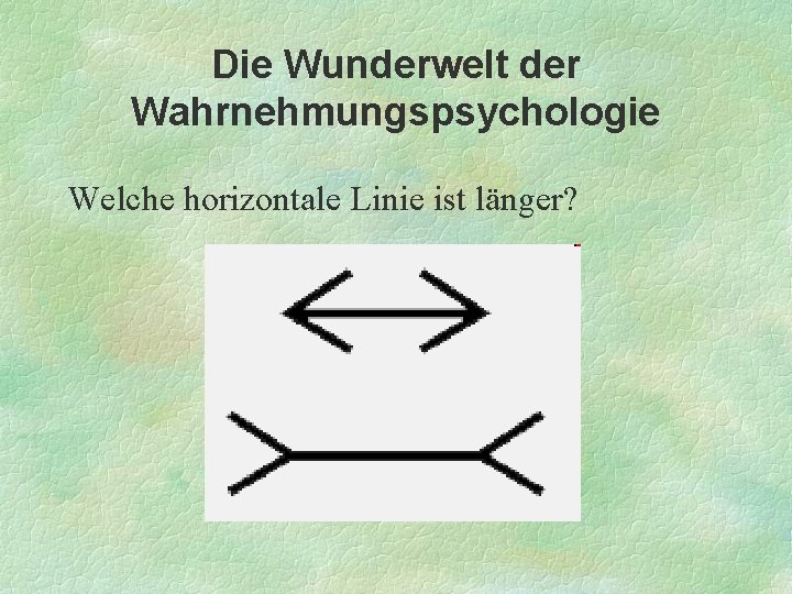 Die Wunderwelt der Wahrnehmungspsychologie Welche horizontale Linie ist länger? 
