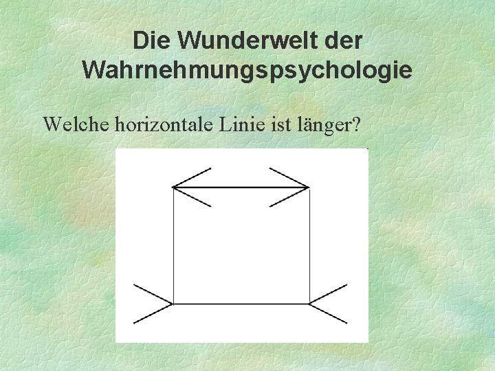 Die Wunderwelt der Wahrnehmungspsychologie Welche horizontale Linie ist länger? 
