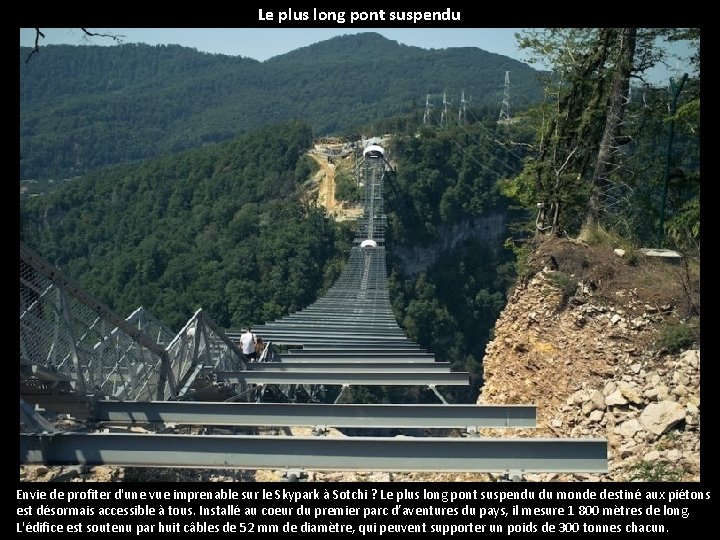 Le plus long pont suspendu Envie de profiter d'une vue imprenable sur le Skypark