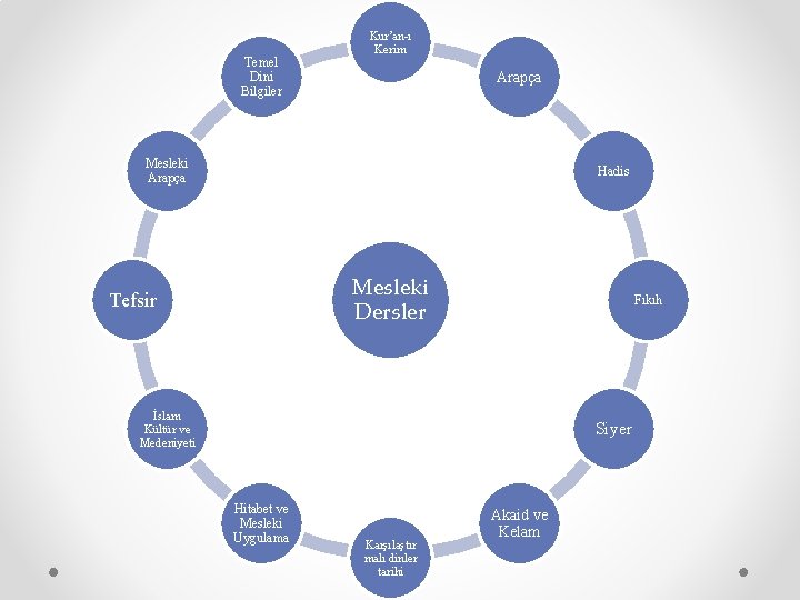 Temel Dini Bilgiler Kur’an-ı Kerim Arapça Mesleki Arapça Hadis Mesleki Dersler Tefsir Fıkıh İslam