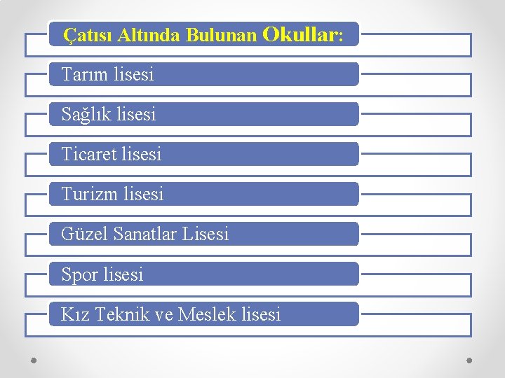 Çatısı Altında Bulunan Okullar: Tarım lisesi Sağlık lisesi Ticaret lisesi Turizm lisesi Güzel Sanatlar