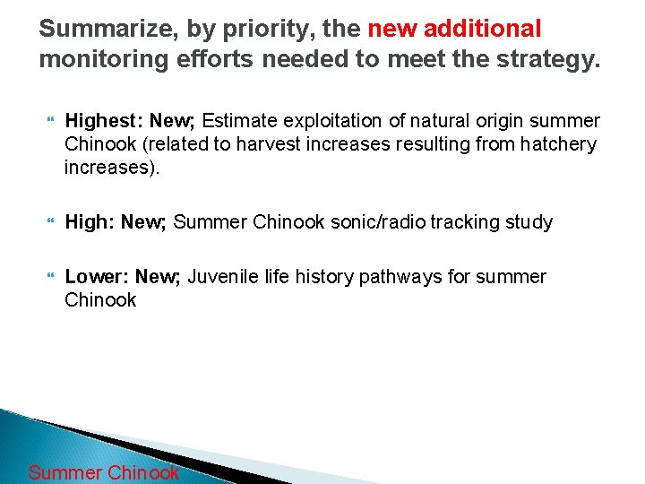 Summarize, by priority, the new additional monitoring efforts needed to meet the strategy. Highest: