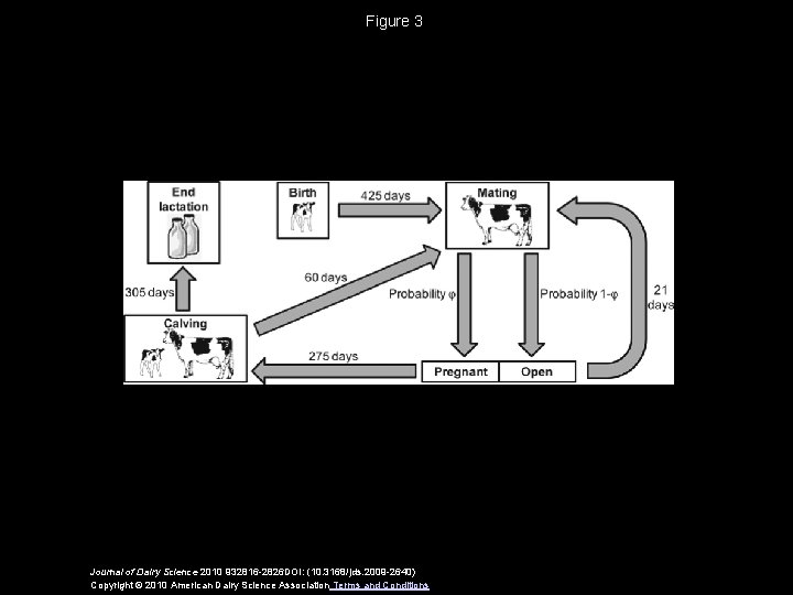 Figure 3 Journal of Dairy Science 2010 932816 -2826 DOI: (10. 3168/jds. 2009 -2640)