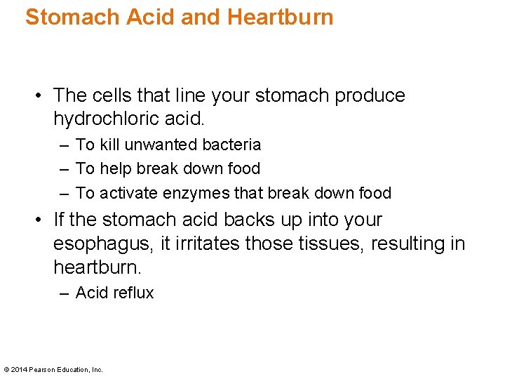 Stomach Acid and Heartburn • The cells that line your stomach produce hydrochloric acid.